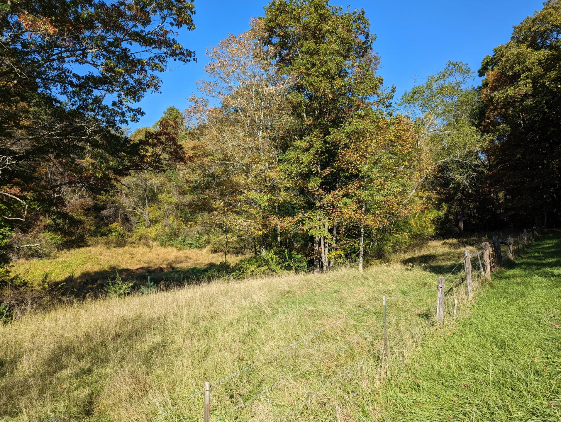 0 Laurel Creek RD - Photo 42