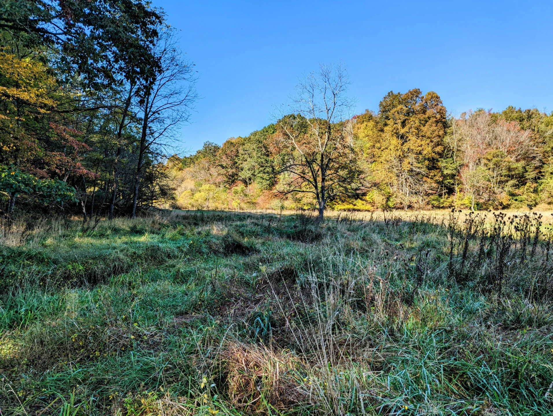 0 Laurel Creek RD - Photo 44