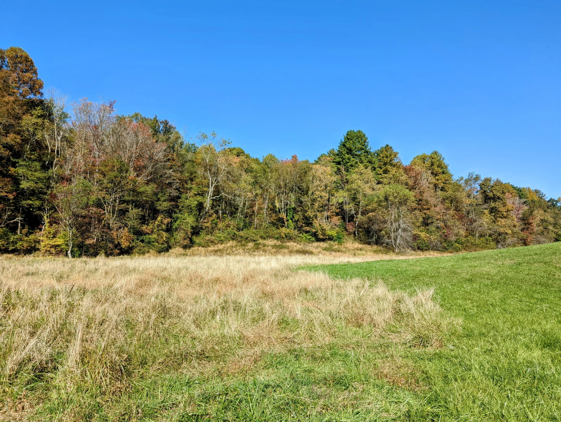 0 Laurel Creek RD - Photo 45