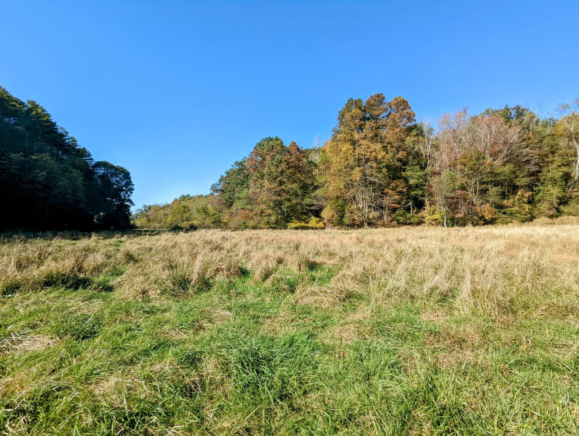0 Laurel Creek RD - Photo 46