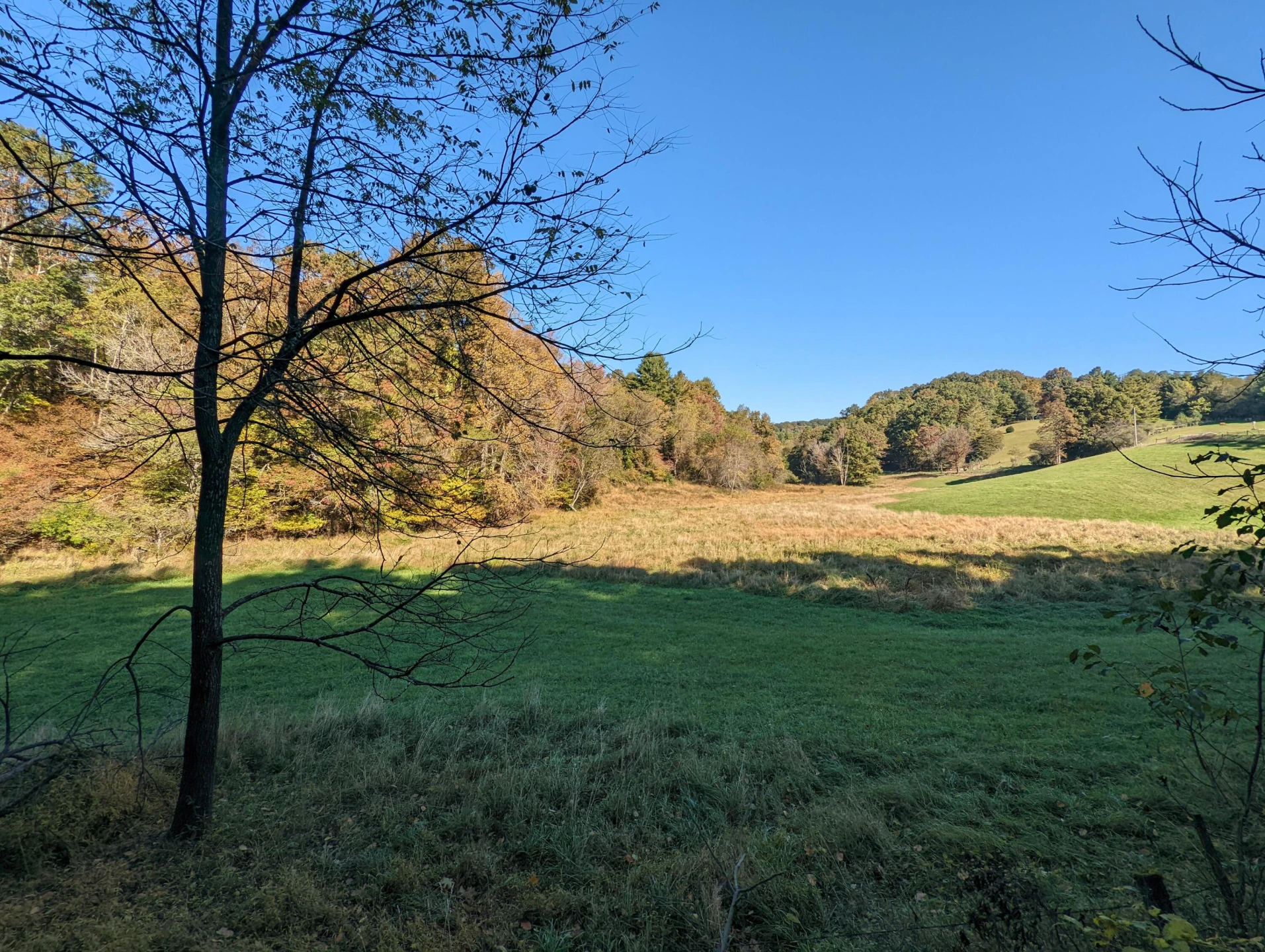 0 Laurel Creek RD - Photo 47