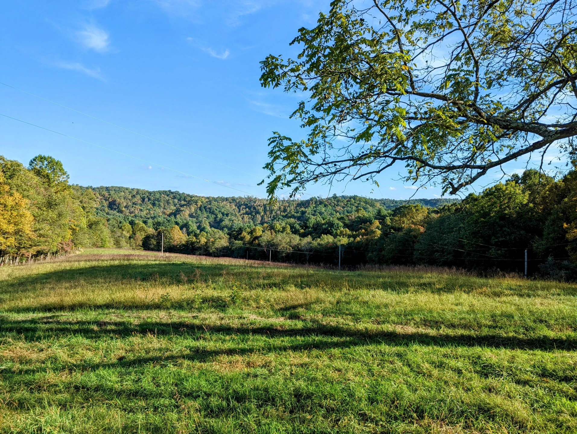 0 Laurel Creek RD - Photo 5