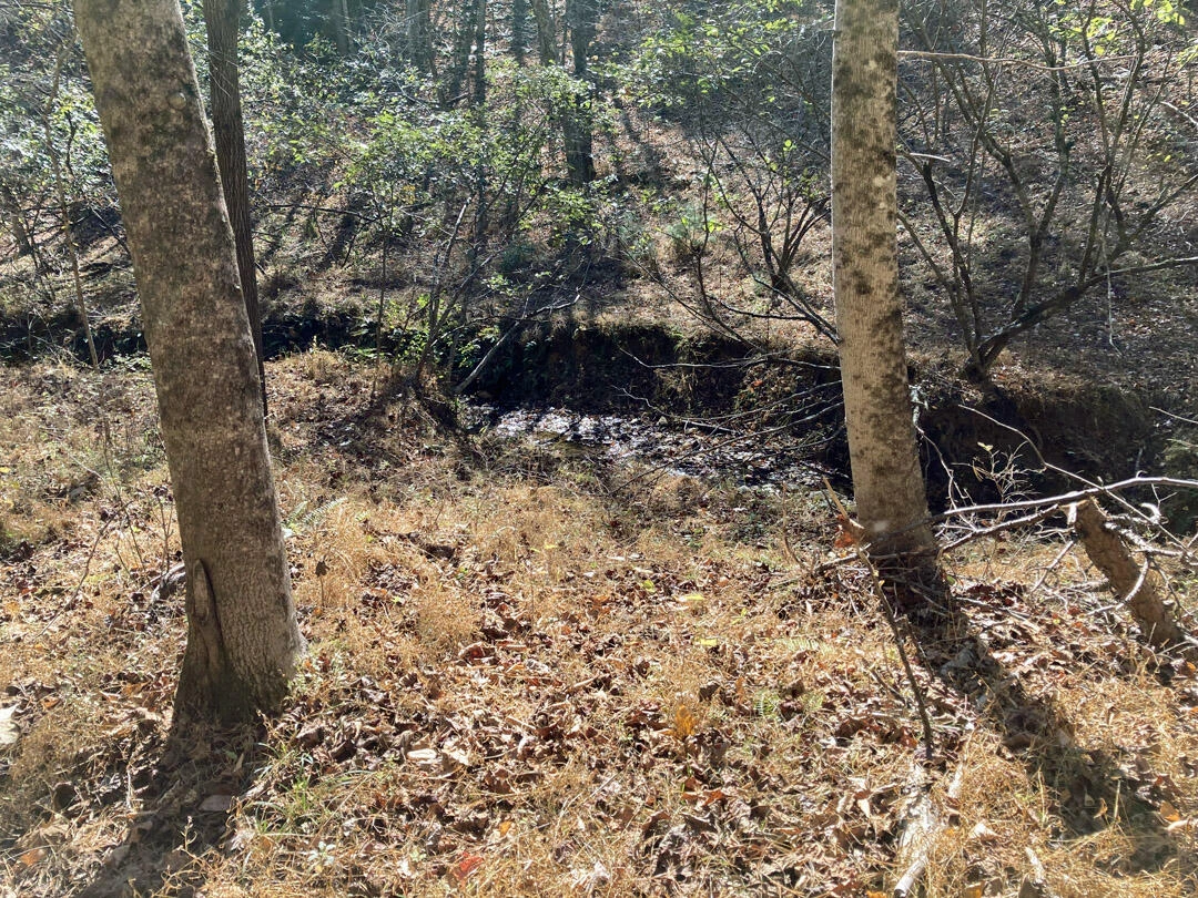0 Laurel Creek RD - Photo 50