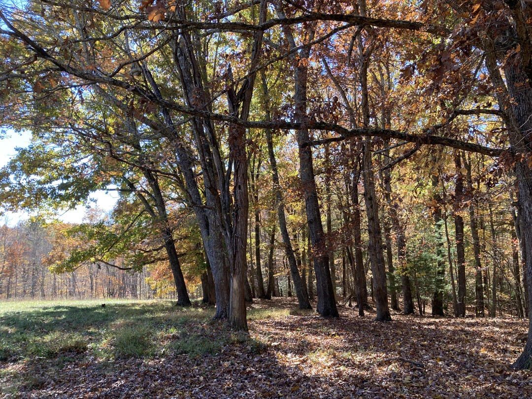0 Laurel Creek RD - Photo 51