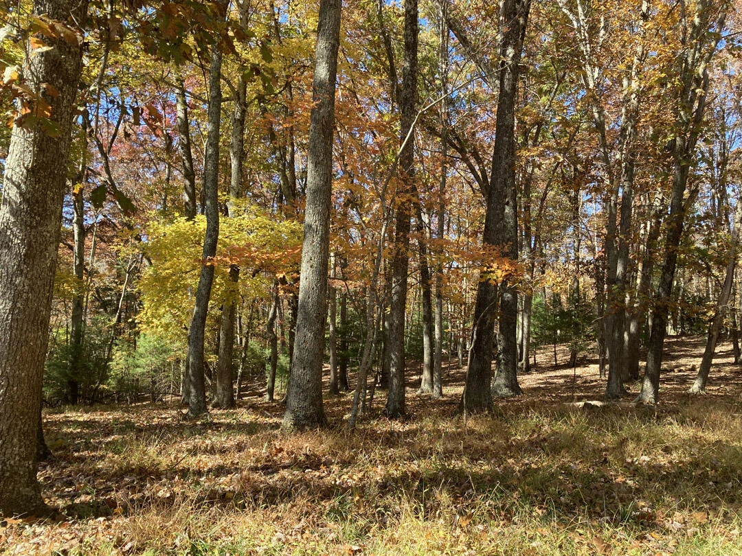0 Laurel Creek RD - Photo 53