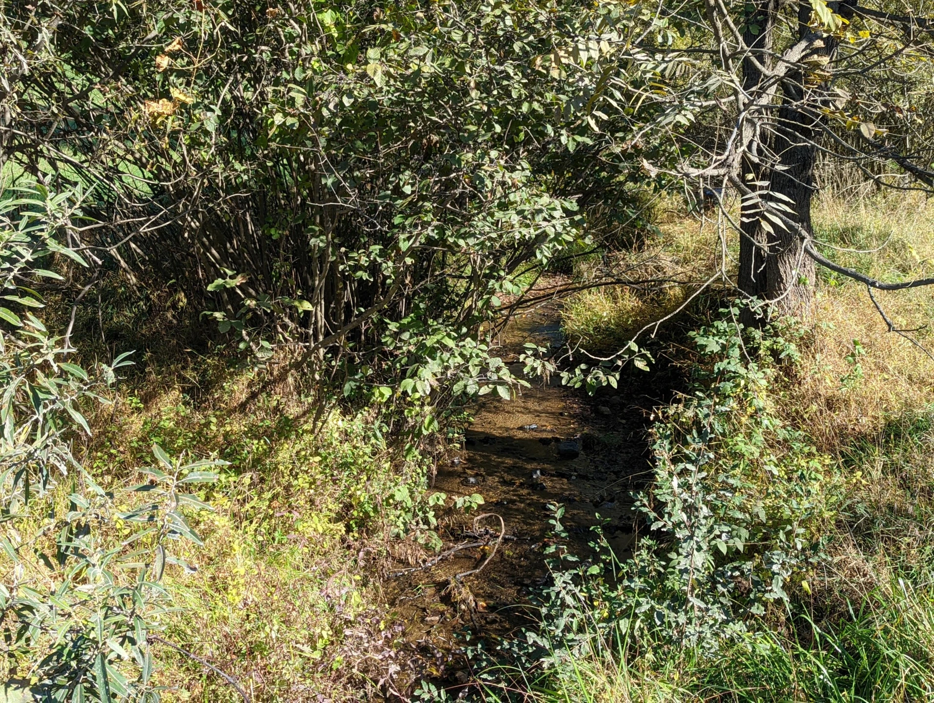 0 Laurel Creek RD - Photo 6