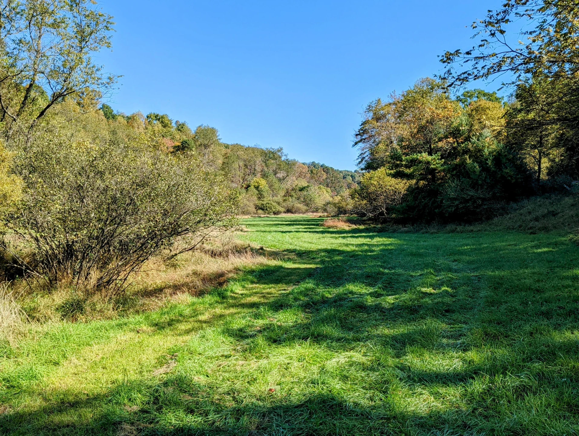 0 Laurel Creek RD - Photo 7