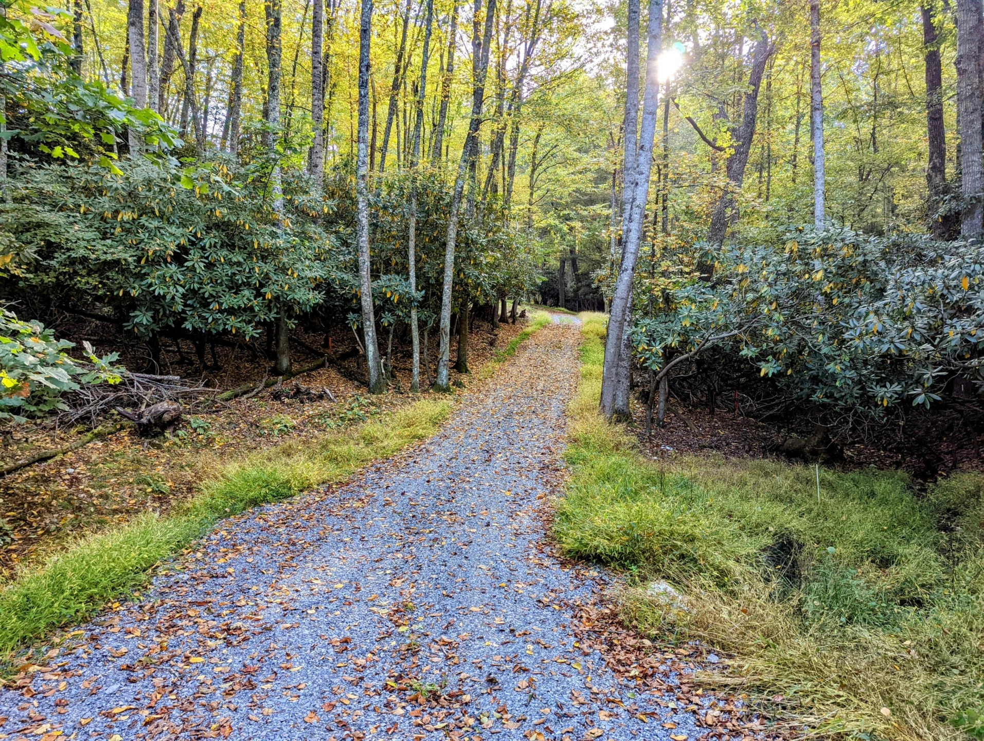 0 Laurel Creek RD - Photo 8