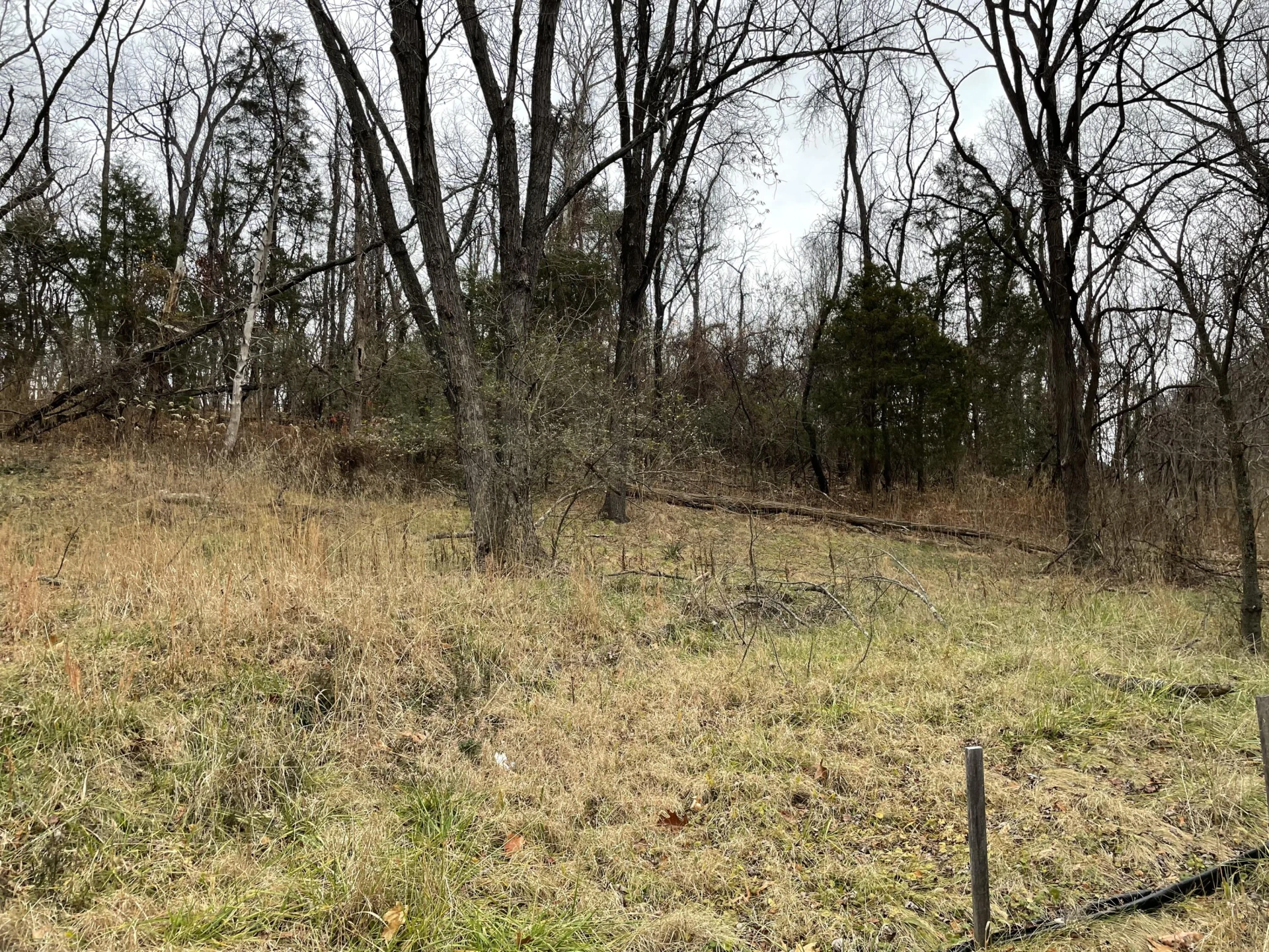 0 Mountain View RD - Photo 2