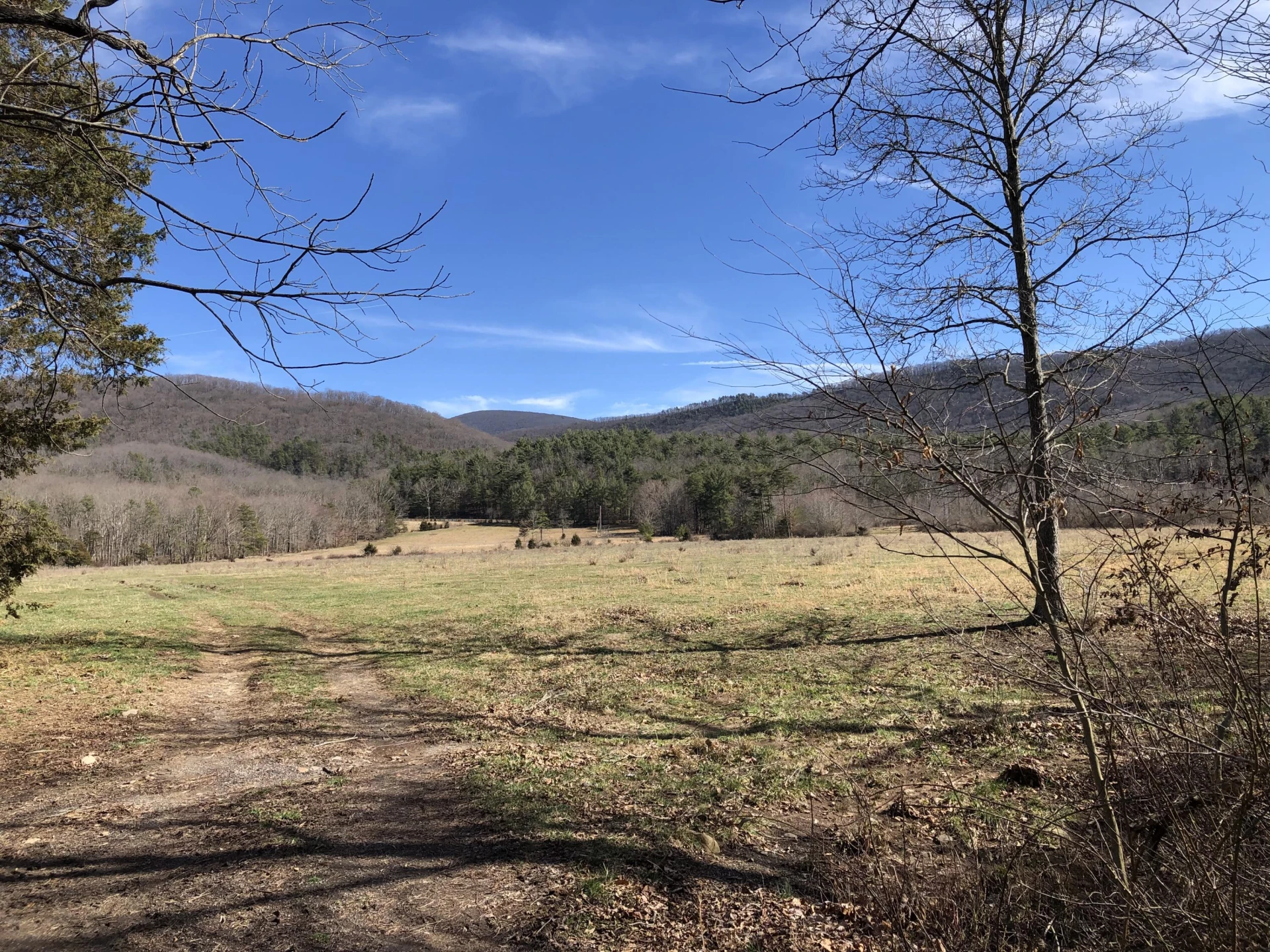 00 Potts Creek RD - Photo 10