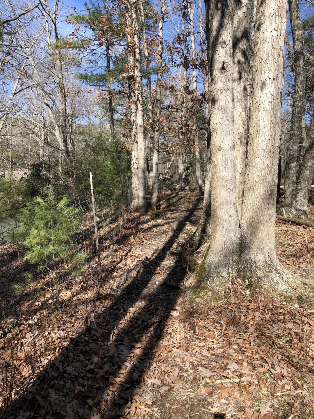 00 Potts Creek RD - Photo 14