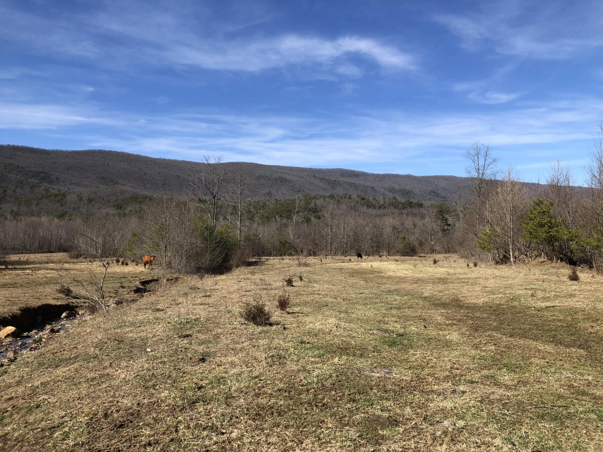 00 Potts Creek RD - Photo 15