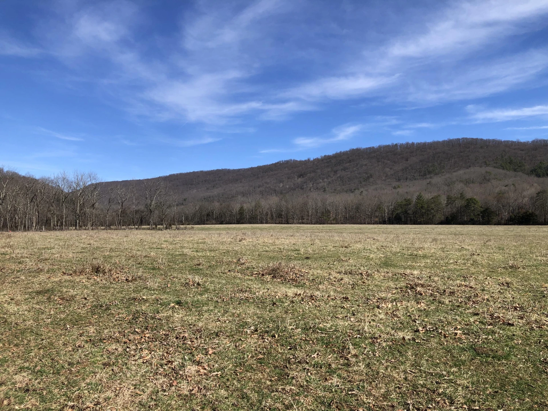 00 Potts Creek RD - Photo 18