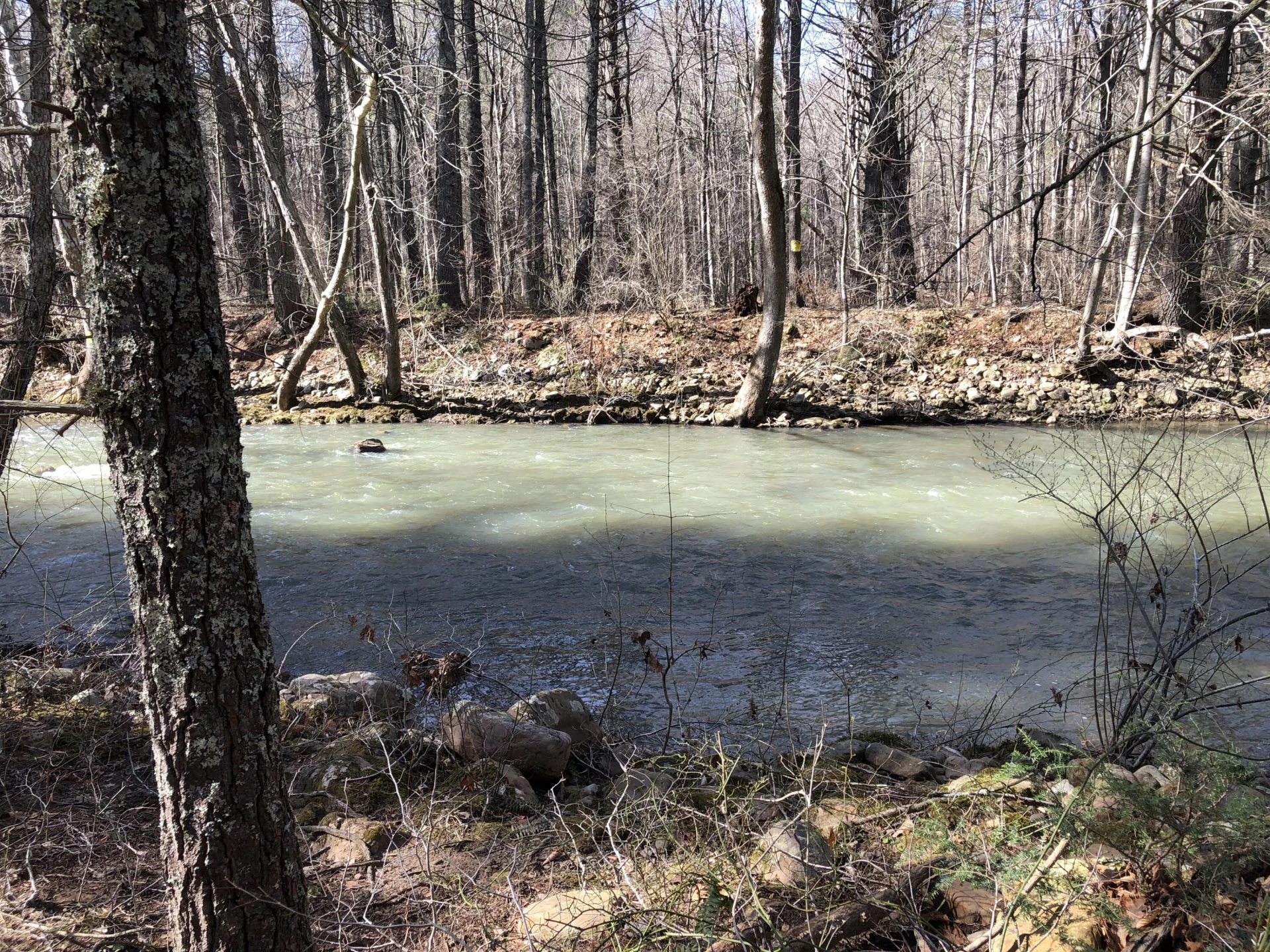 00 Potts Creek RD - Photo 3