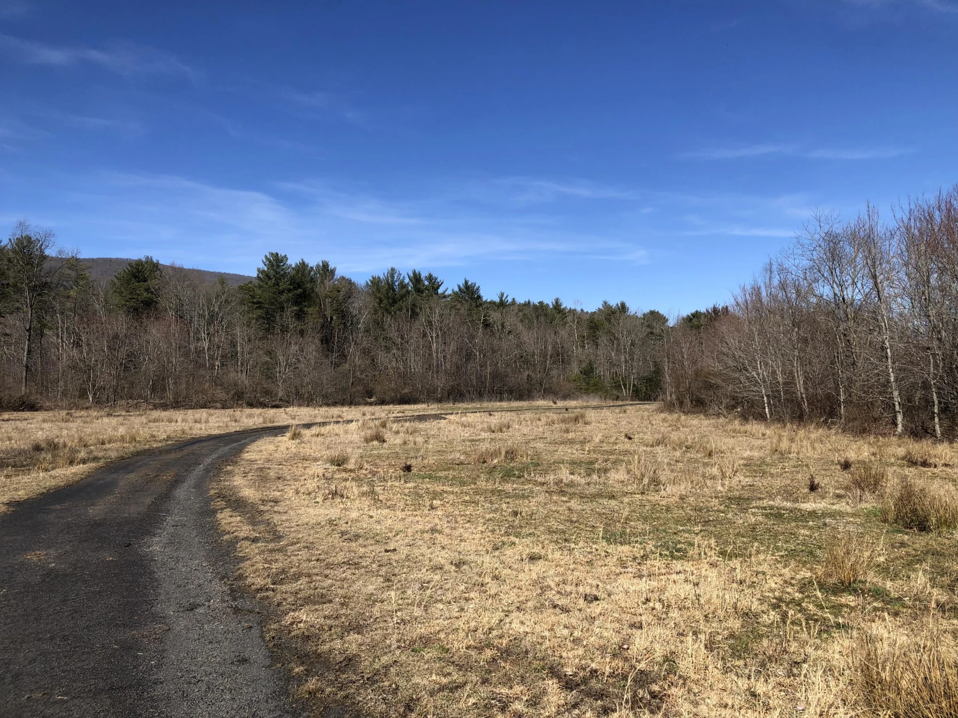 000 Potts Creek RD - Photo 10