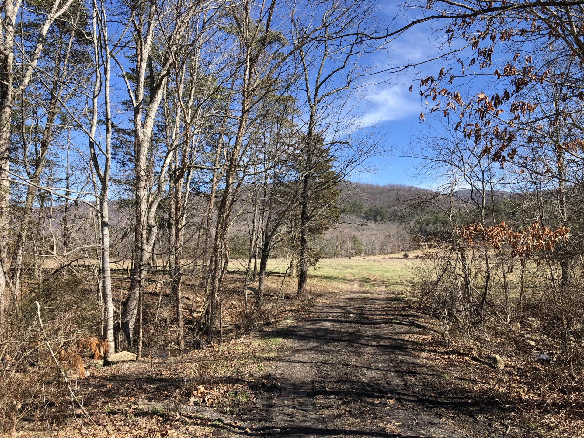 000 Potts Creek RD - Photo 11