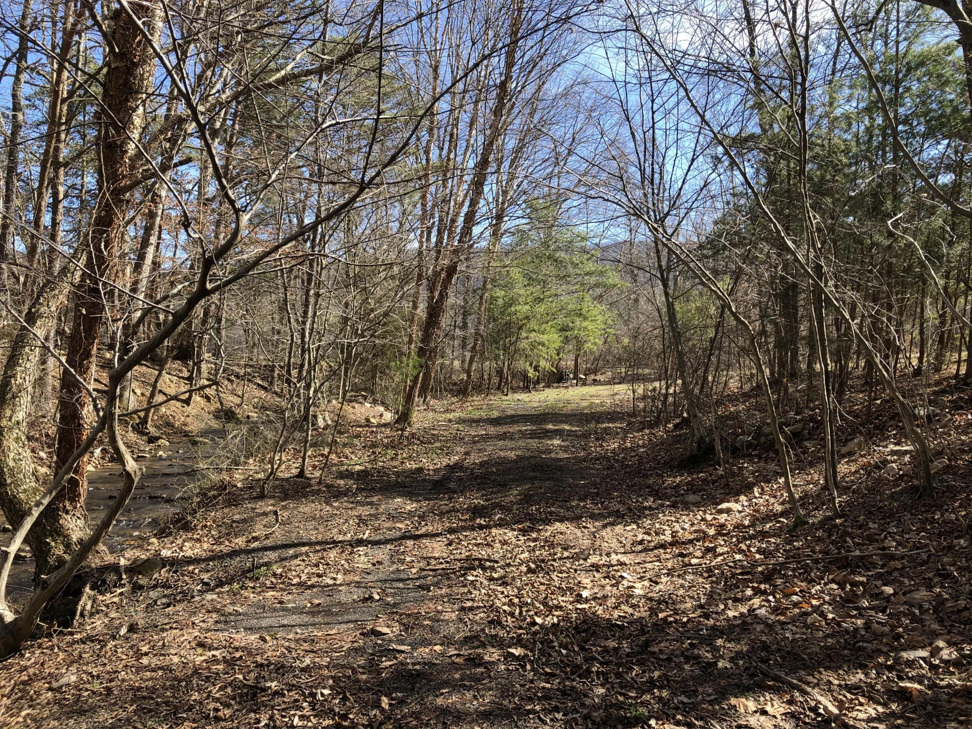 000 Potts Creek RD - Photo 12