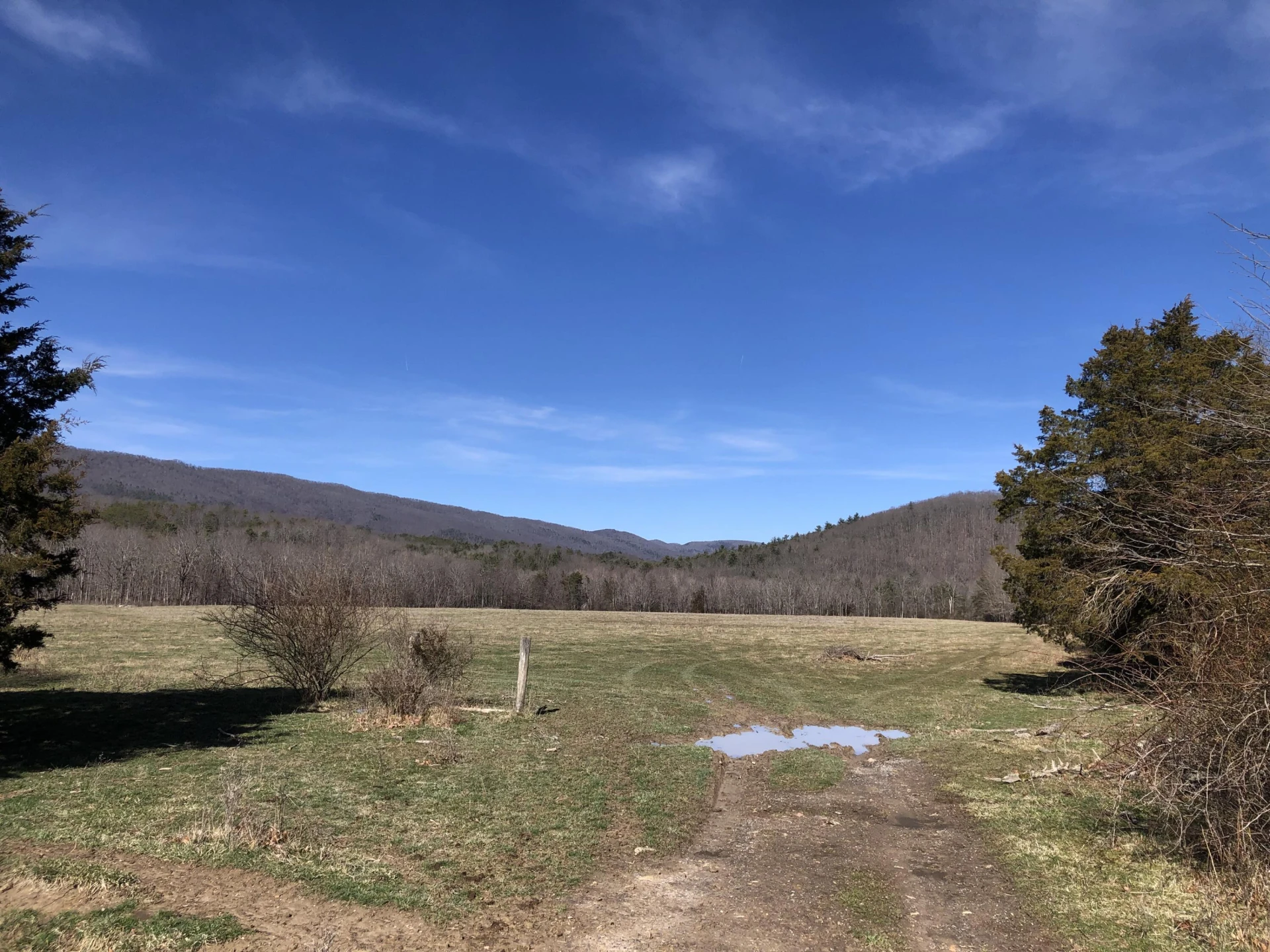 000 Potts Creek RD - Photo 14