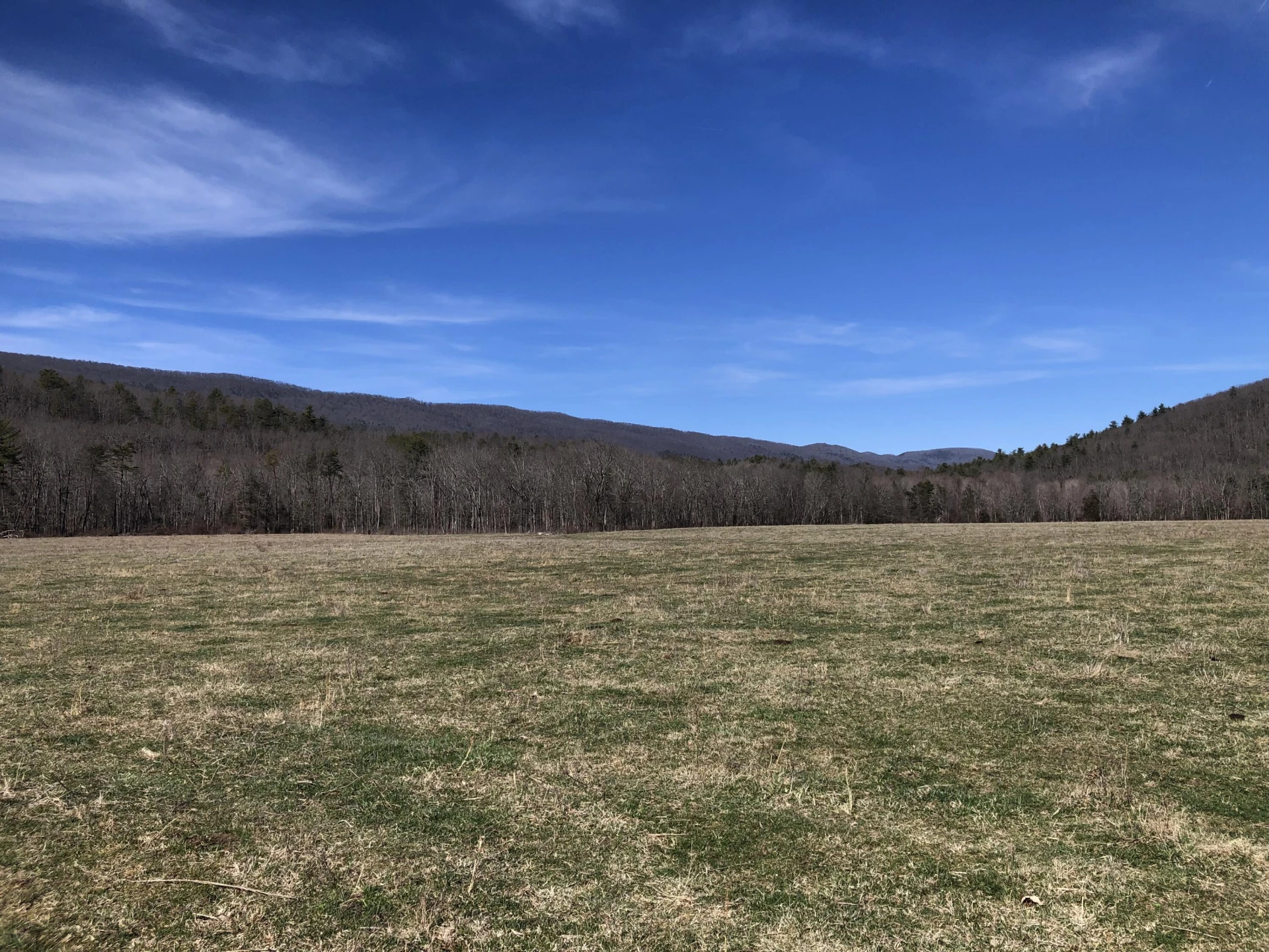 000 Potts Creek RD - Photo 15