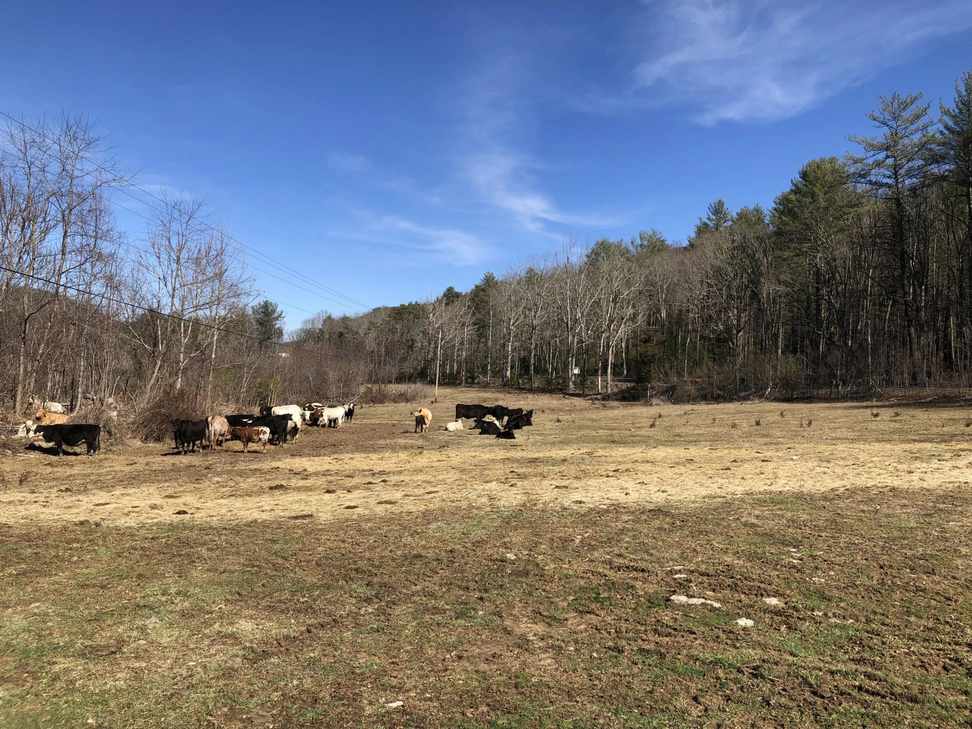 000 Potts Creek RD - Photo 19