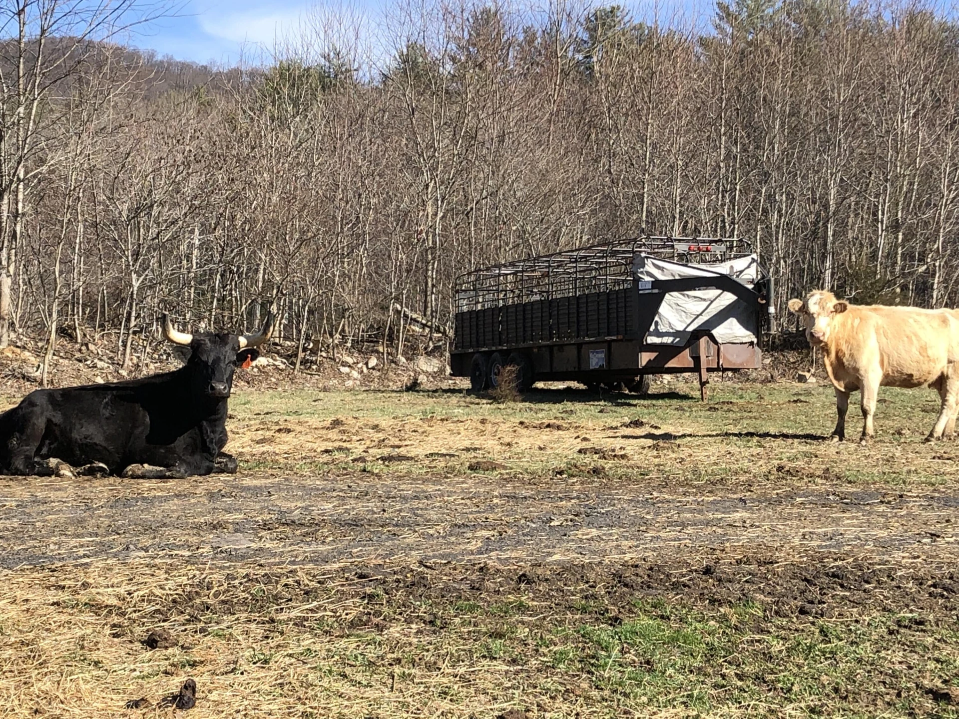 000 Potts Creek RD - Photo 21
