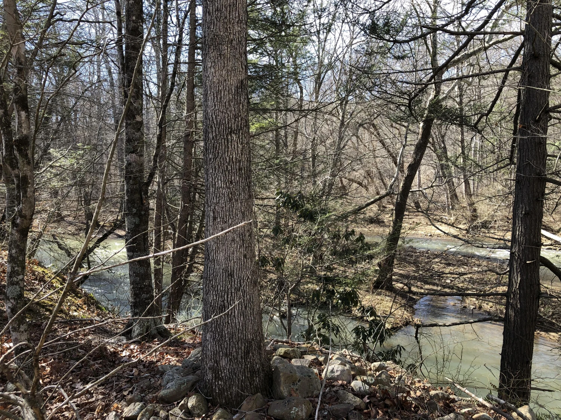 000 Potts Creek RD - Photo 22