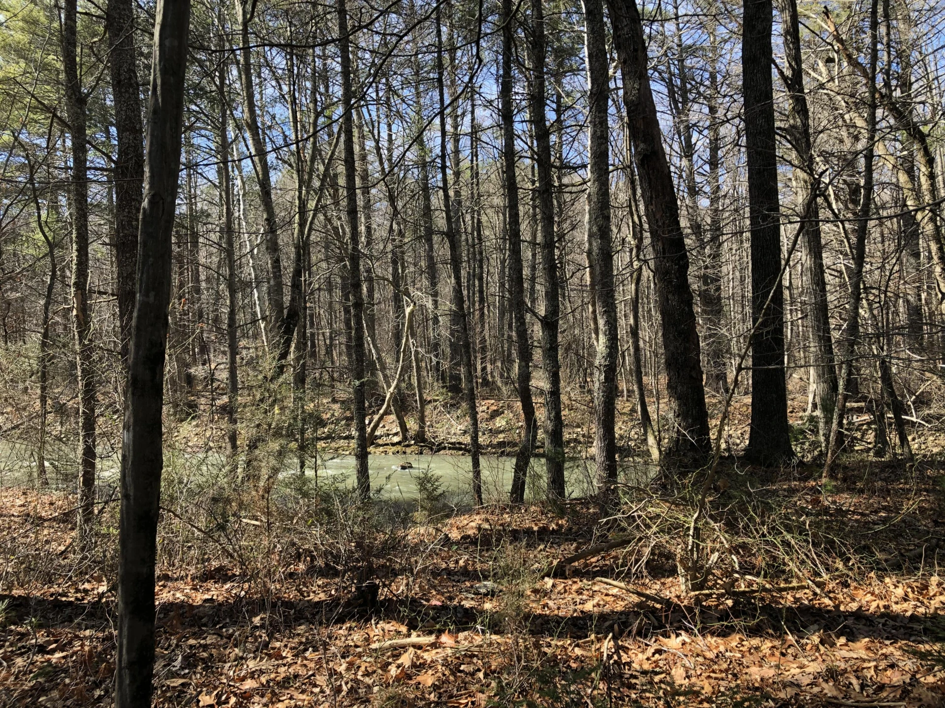 000 Potts Creek RD - Photo 24