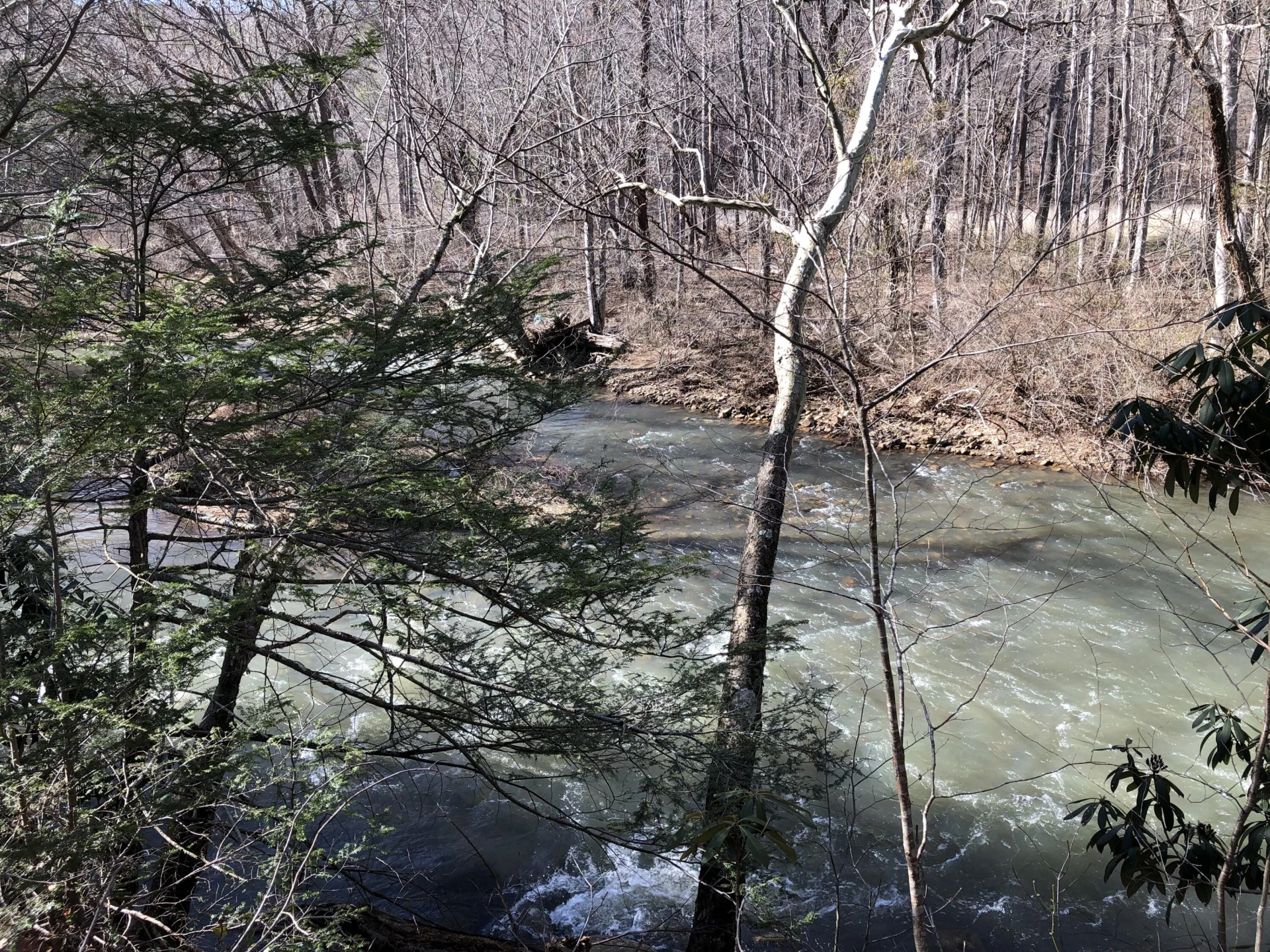 000 Potts Creek RD - Photo 3