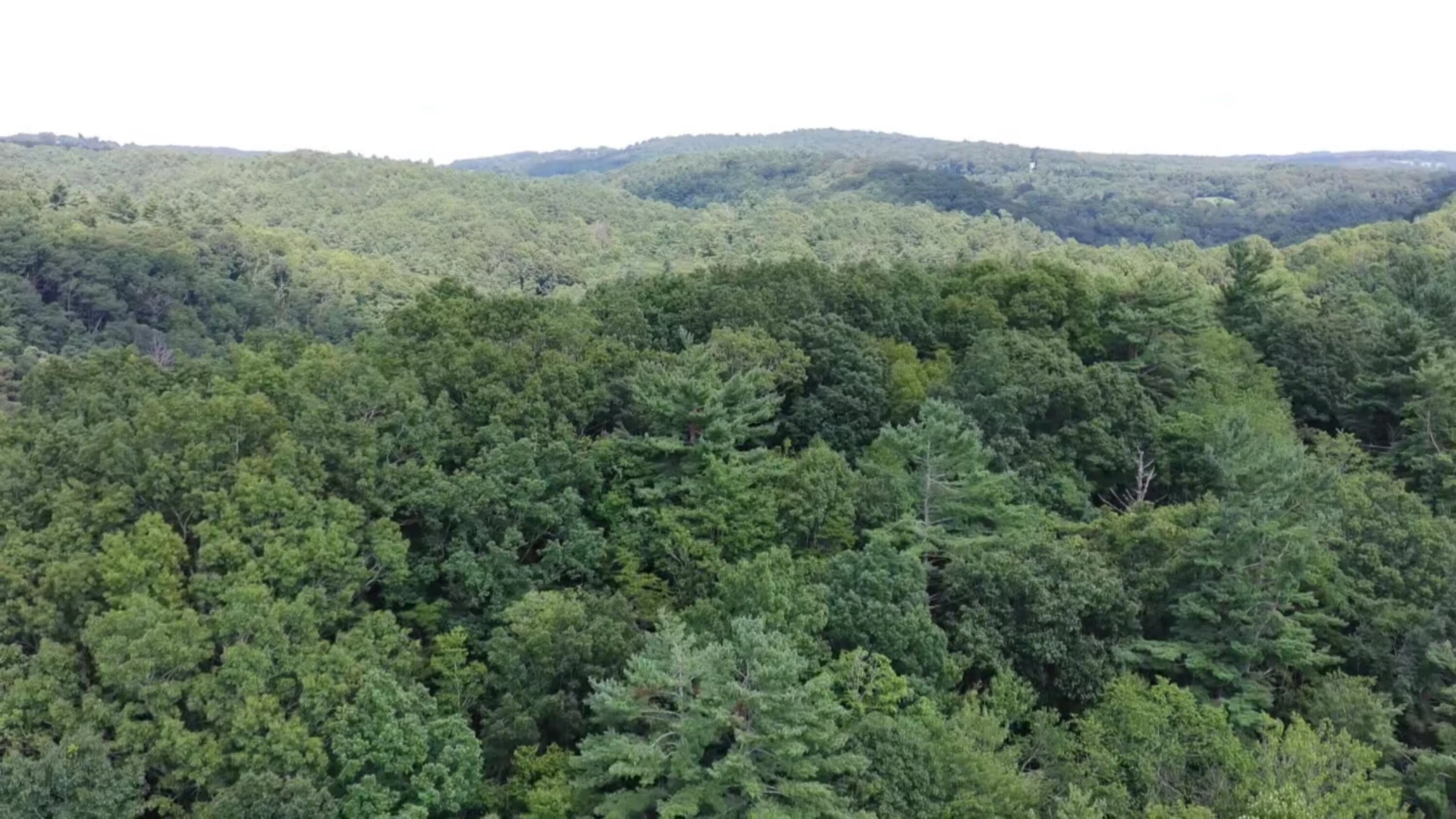 2900 Floyd Hwy - Photo 59