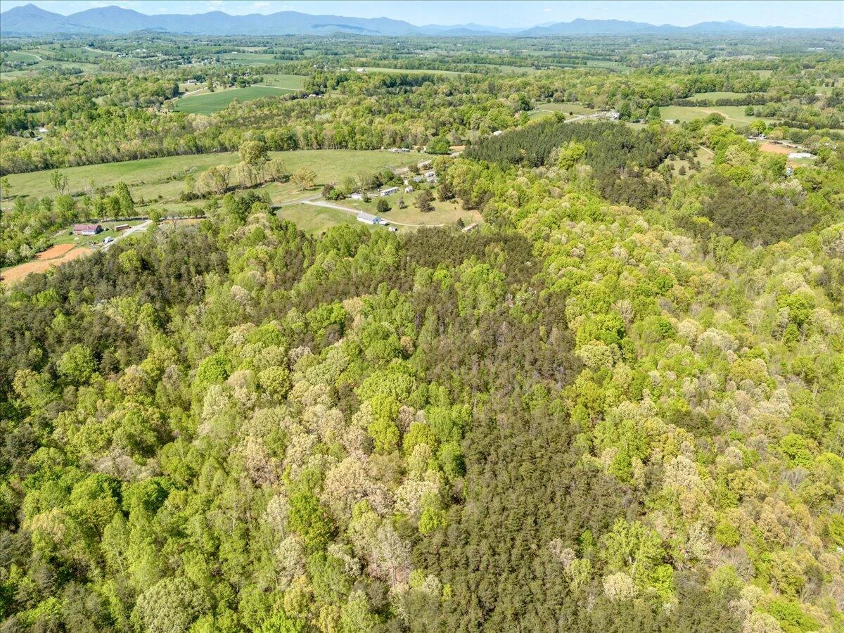 1937 Shingle Block RD - Photo 6
