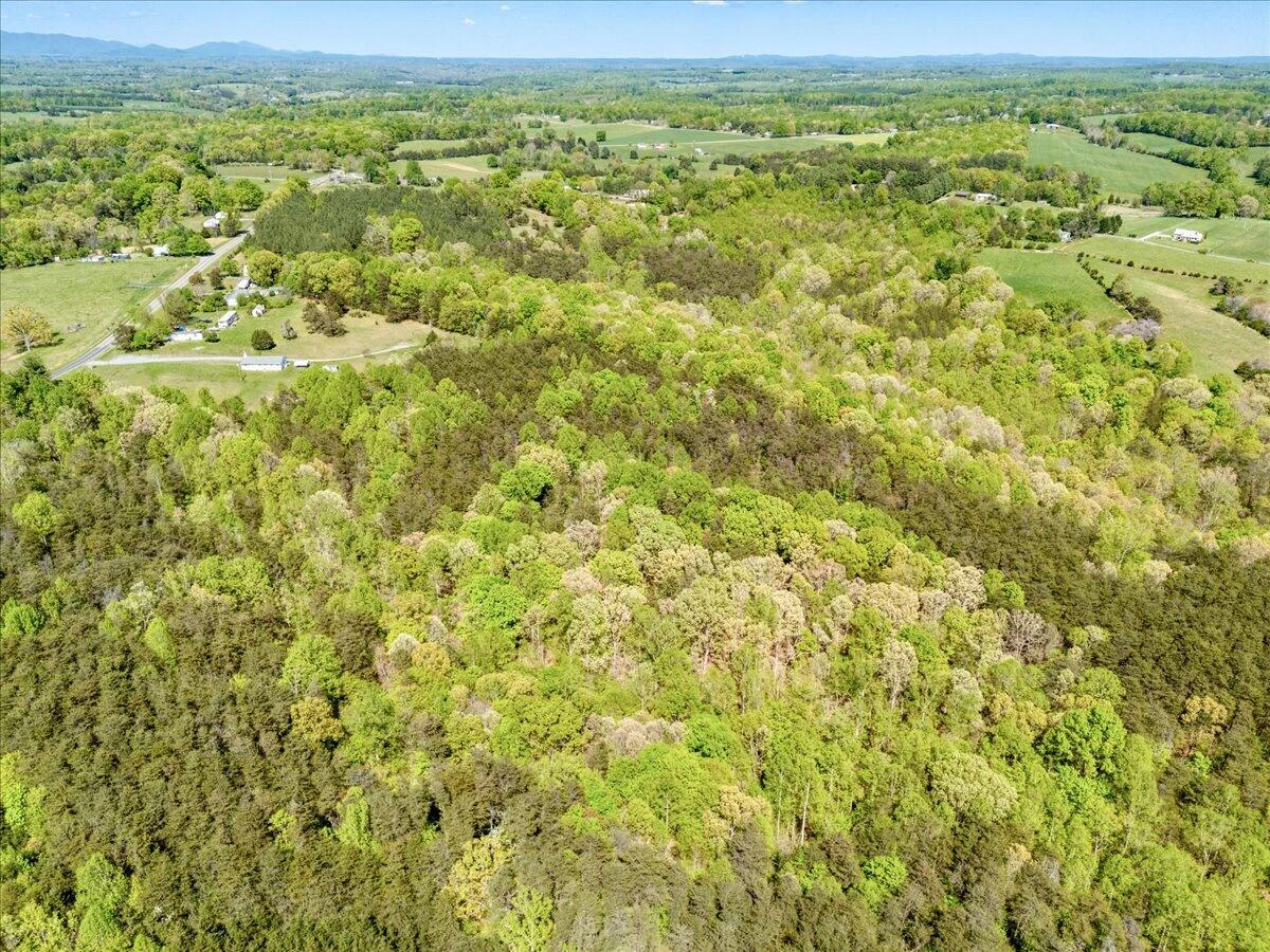 1937 Shingle Block RD - Photo 7