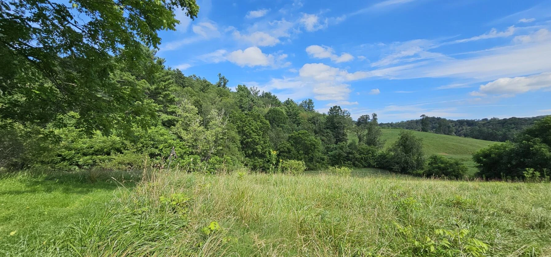 2900 Floyd Hwy - Photo 18