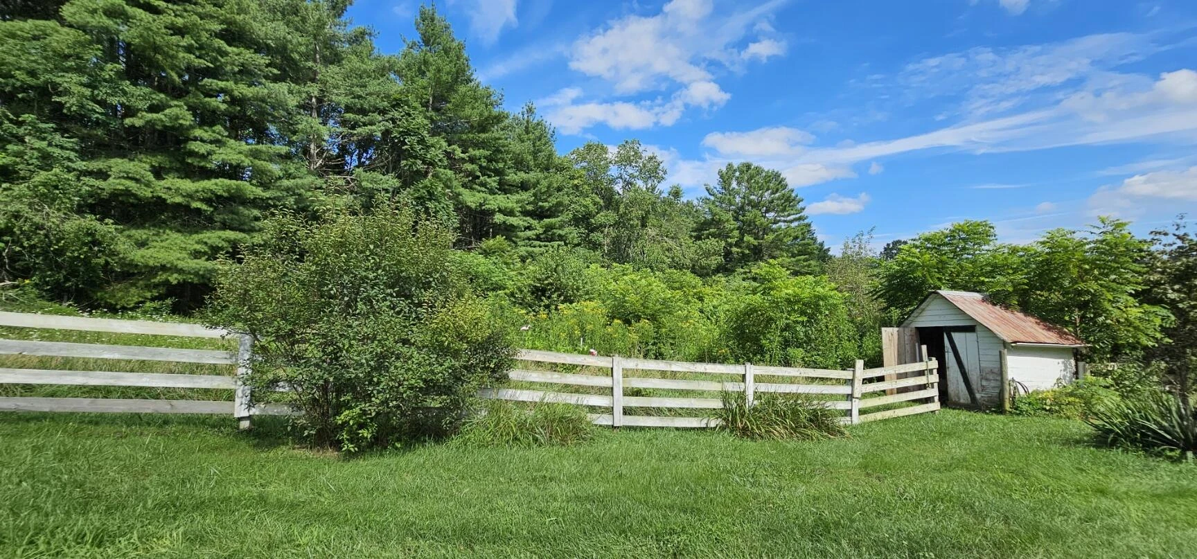 2900 Floyd Hwy - Photo 5