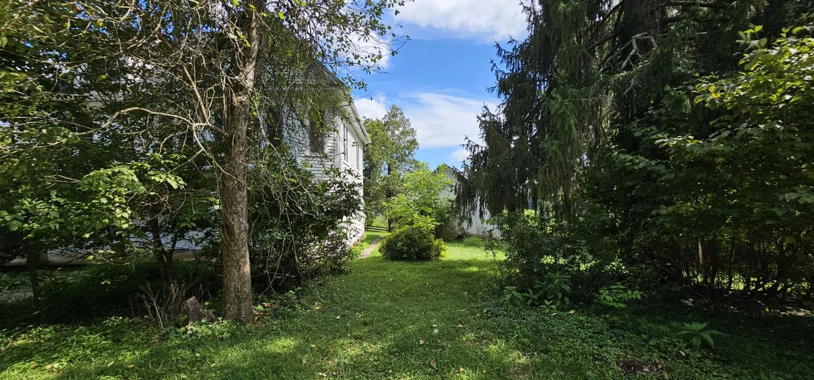 2900 Floyd Hwy - Photo 9