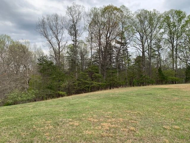 Lot 64 North Church DR - Photo 5