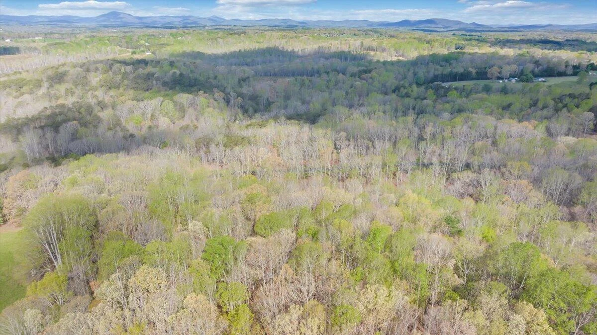 Lot 11 Red Barn LN - Photo 48
