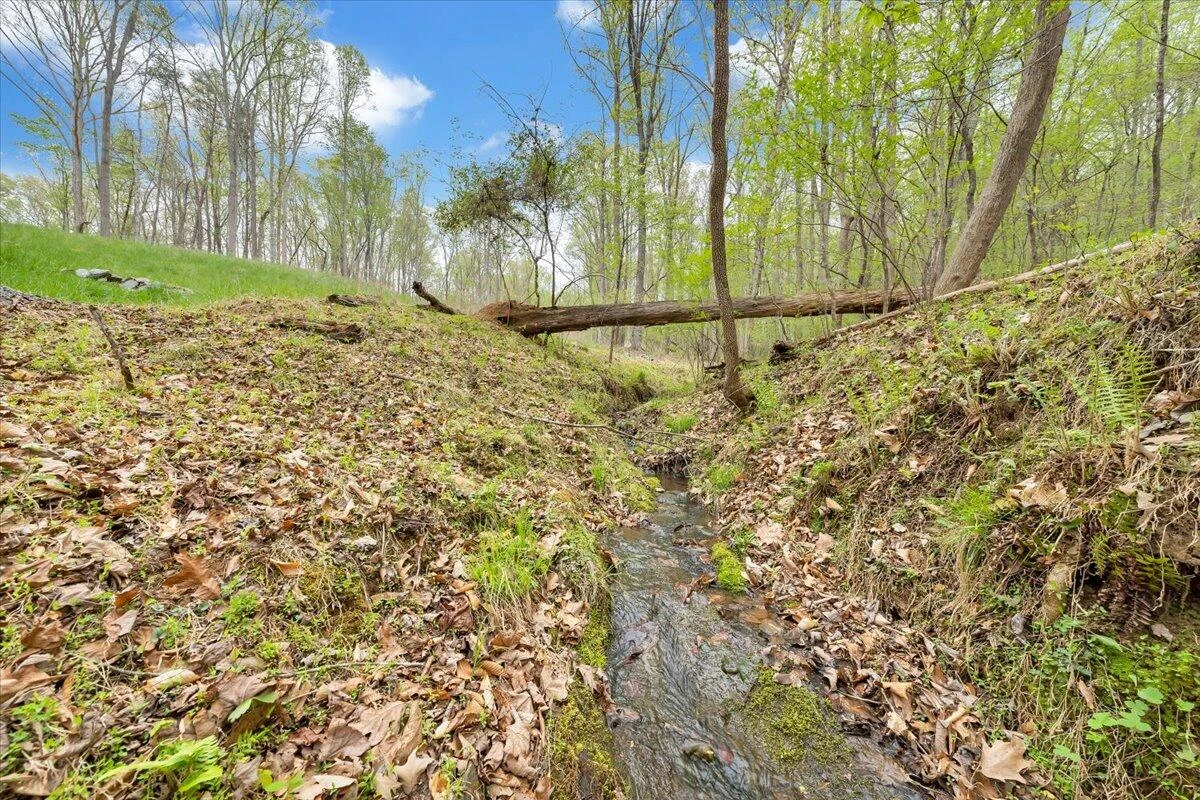 Lot 9 Red Barn LN - Photo 2