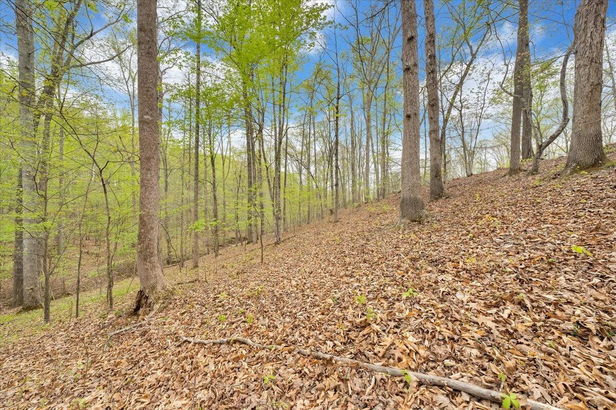 Lot 9 Red Barn LN - Photo 44