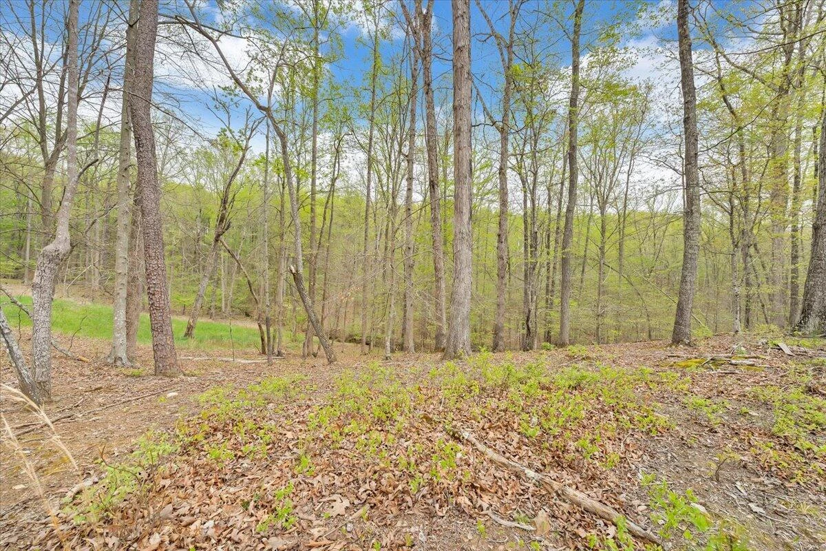 Lot 9 Red Barn LN - Photo 45