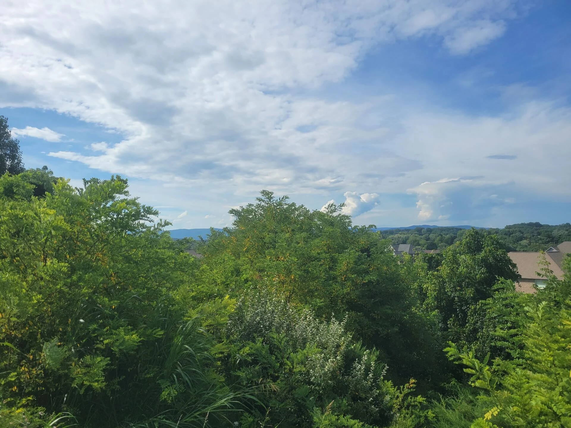Lot 26 Graystone DR
