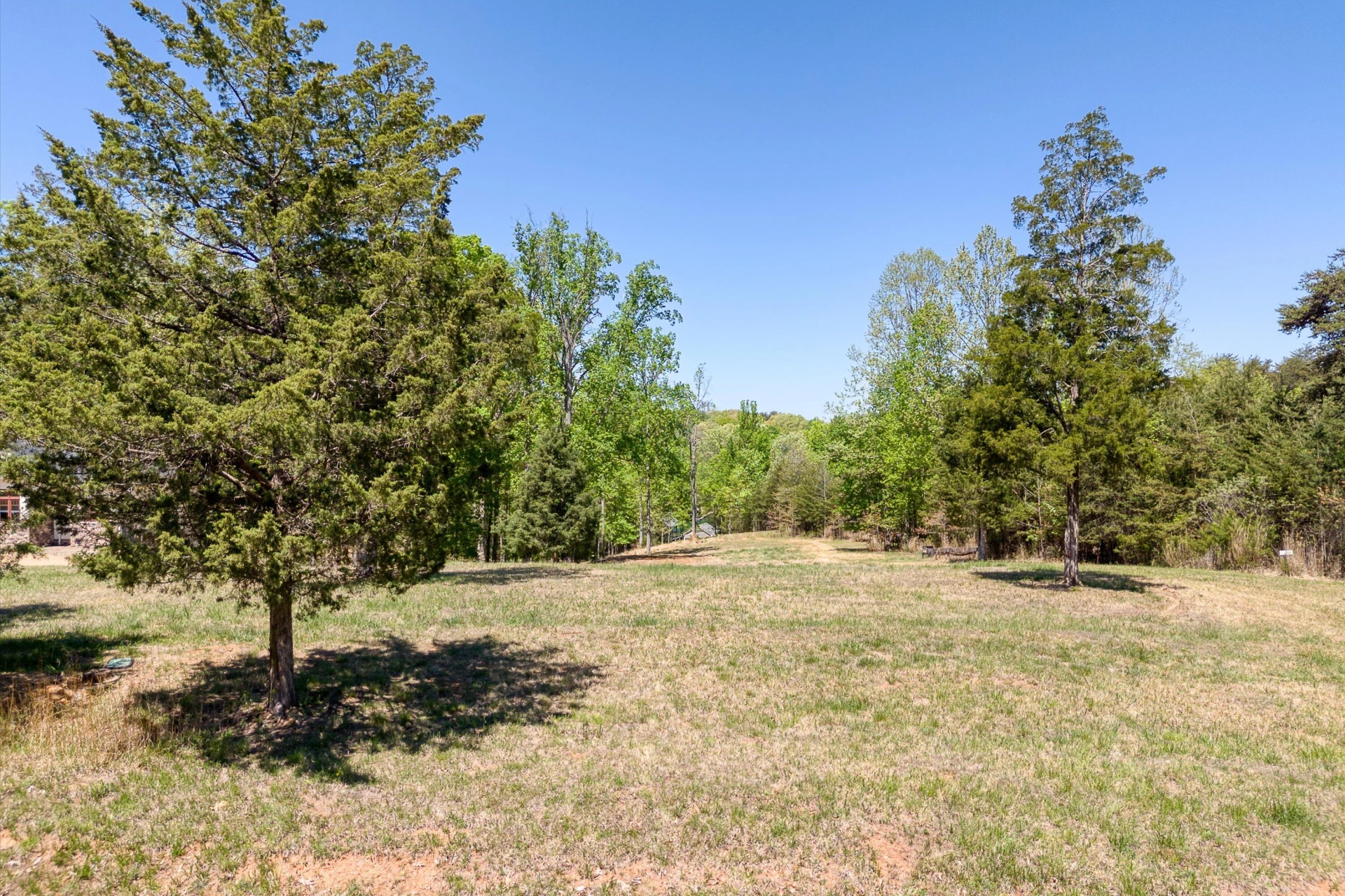Lot 58 Windmere TRL - Photo 4