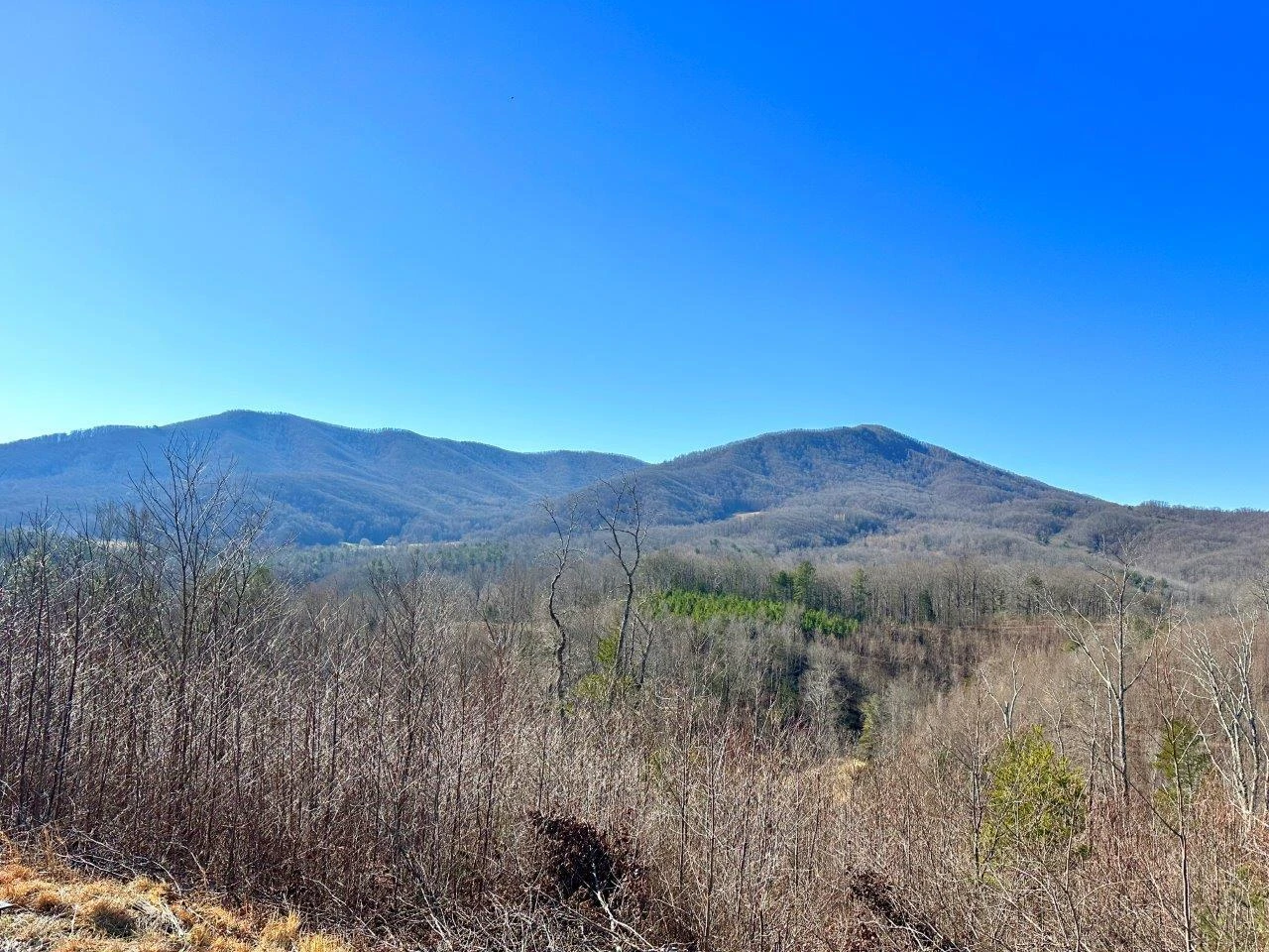 175 Hayden Mountain RD - Photo 36