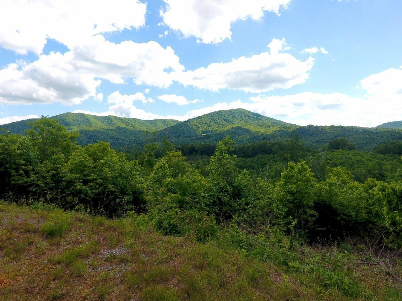 175 Hayden Mountain RD - Photo 37