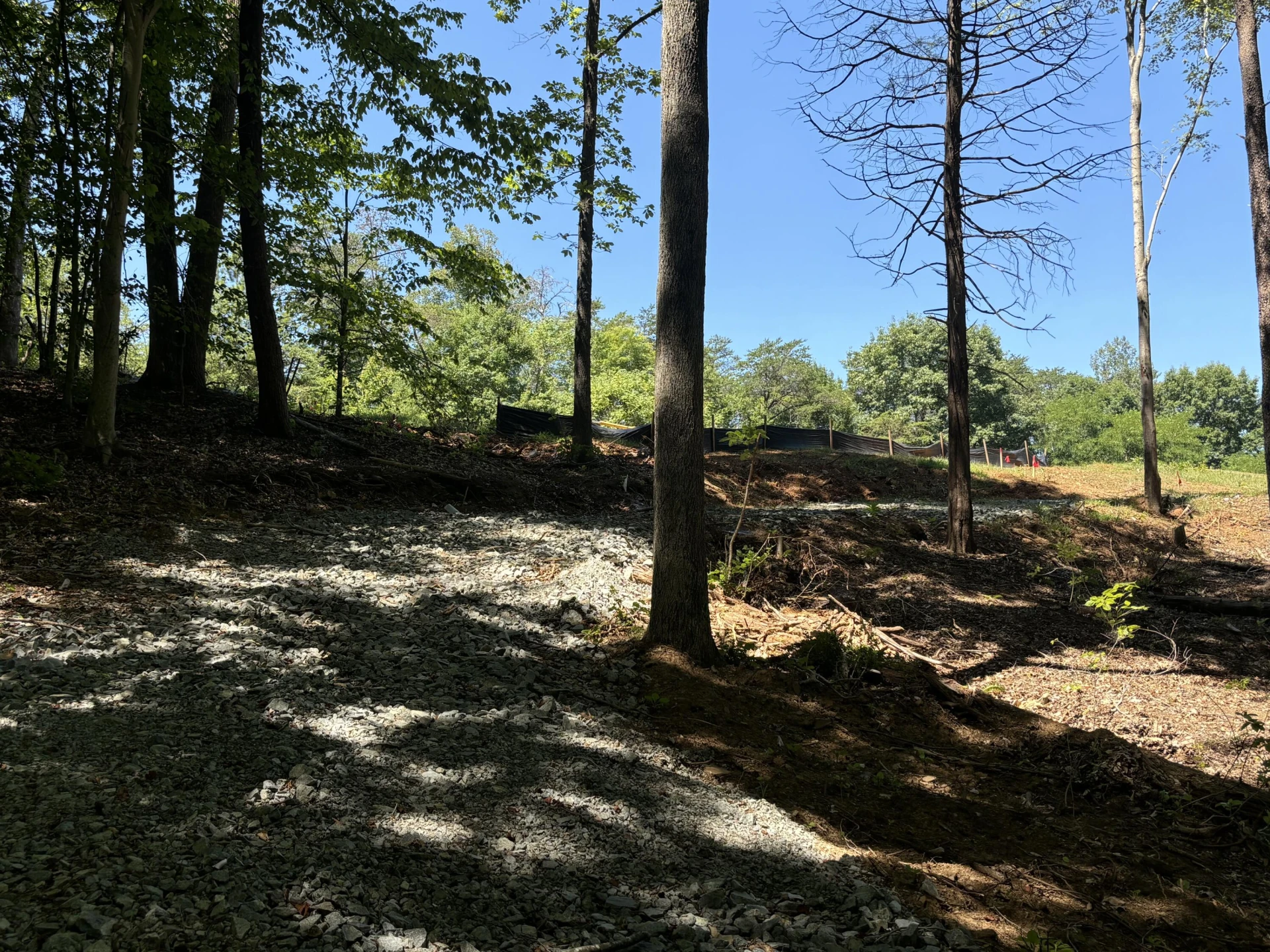 Lot 5 Major Holland RD - Photo 13
