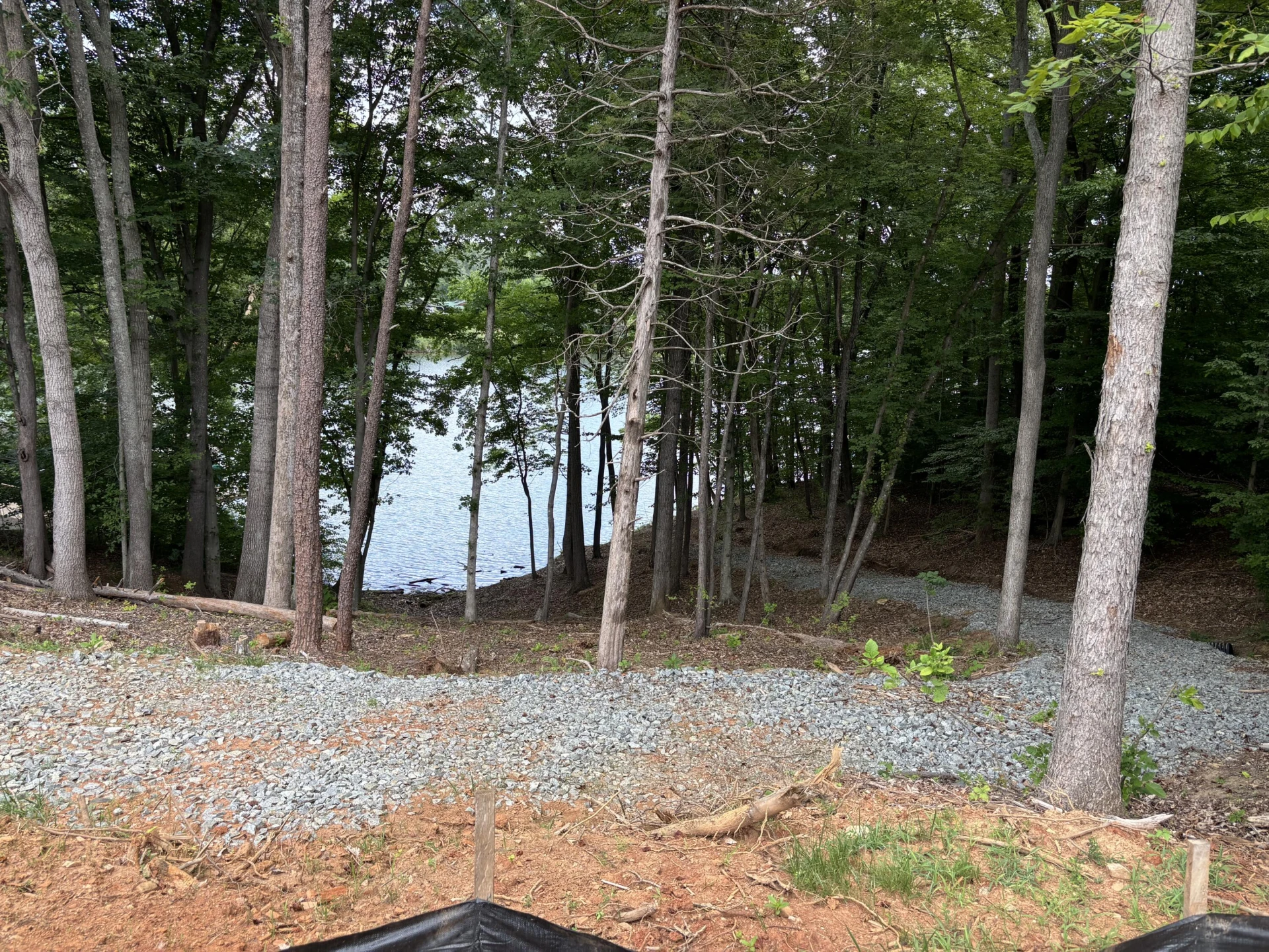 Lot 5 Major Holland RD - Photo 6