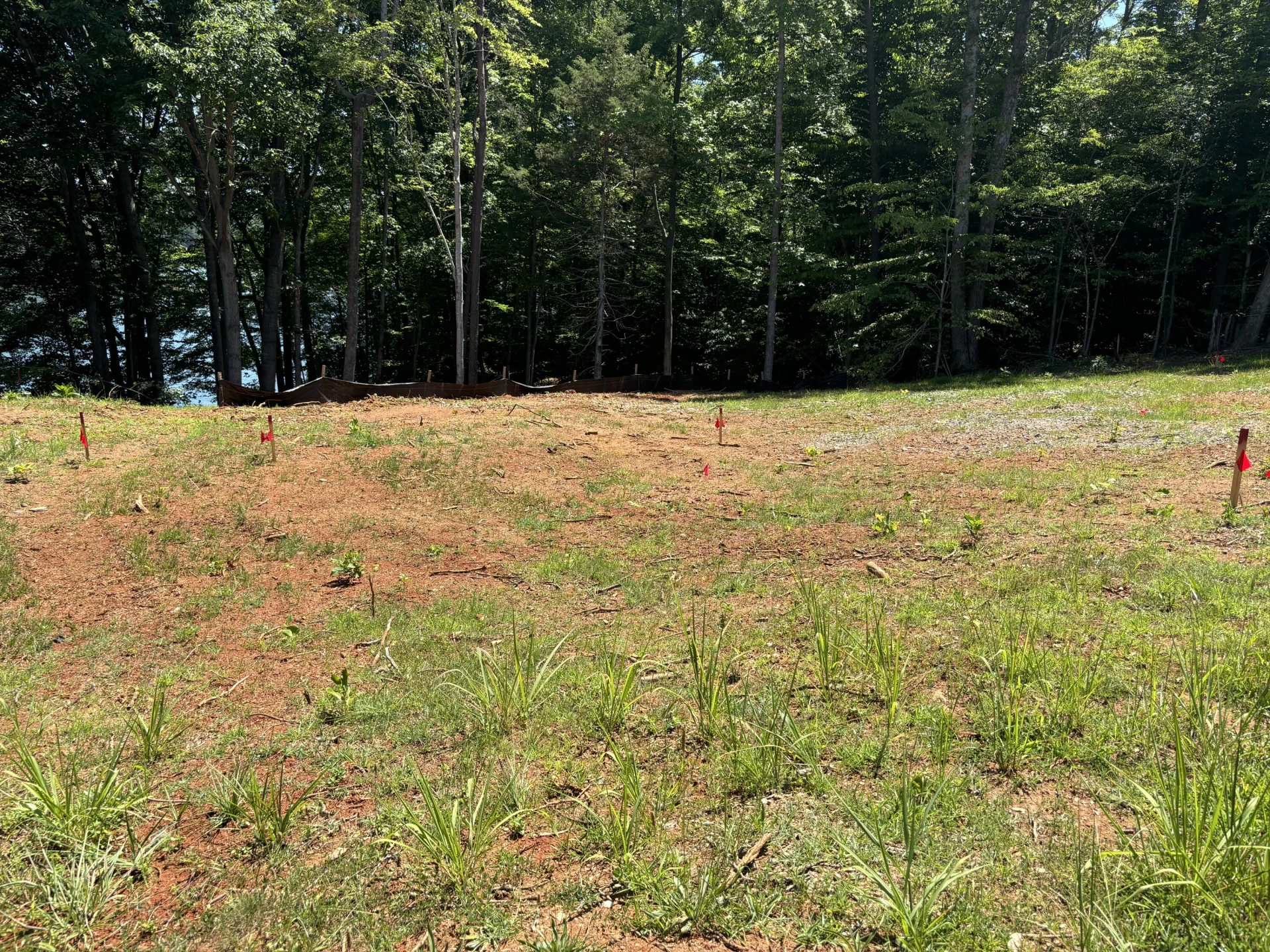 Lot 5 Major Holland RD - Photo 7