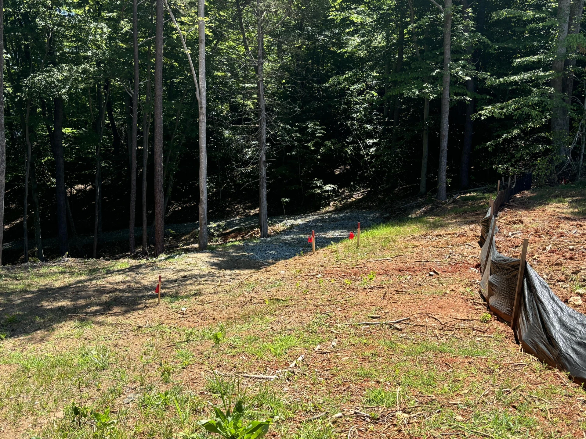 Lot 5 Major Holland RD - Photo 9