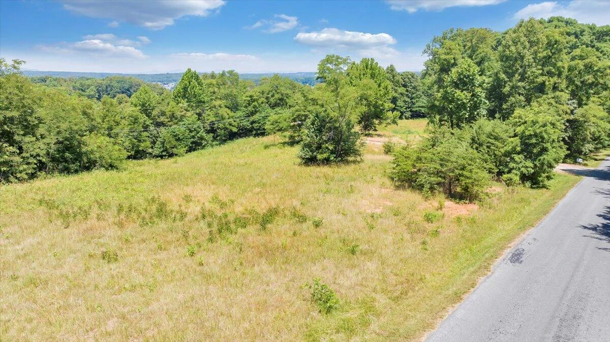 Lot 1 Piney Point RD - Photo 46