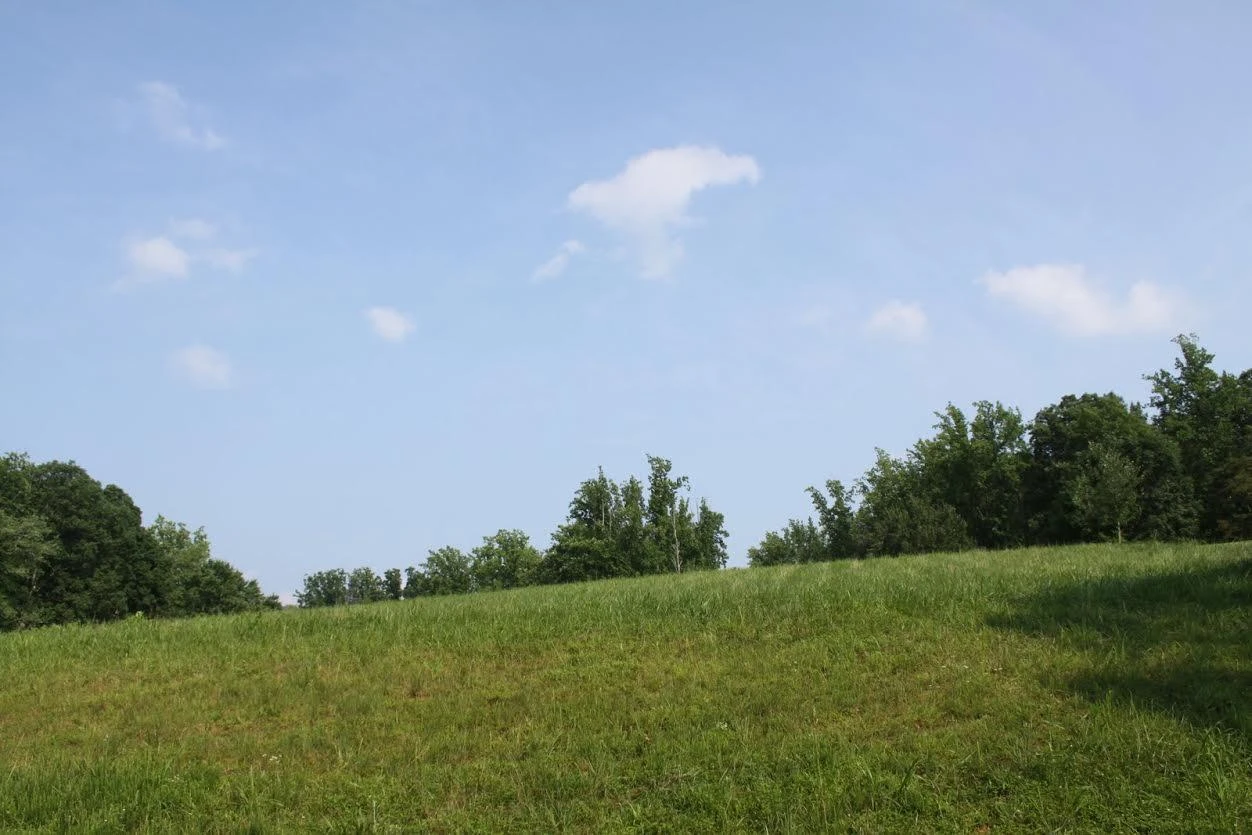Lot 508 South View CIR