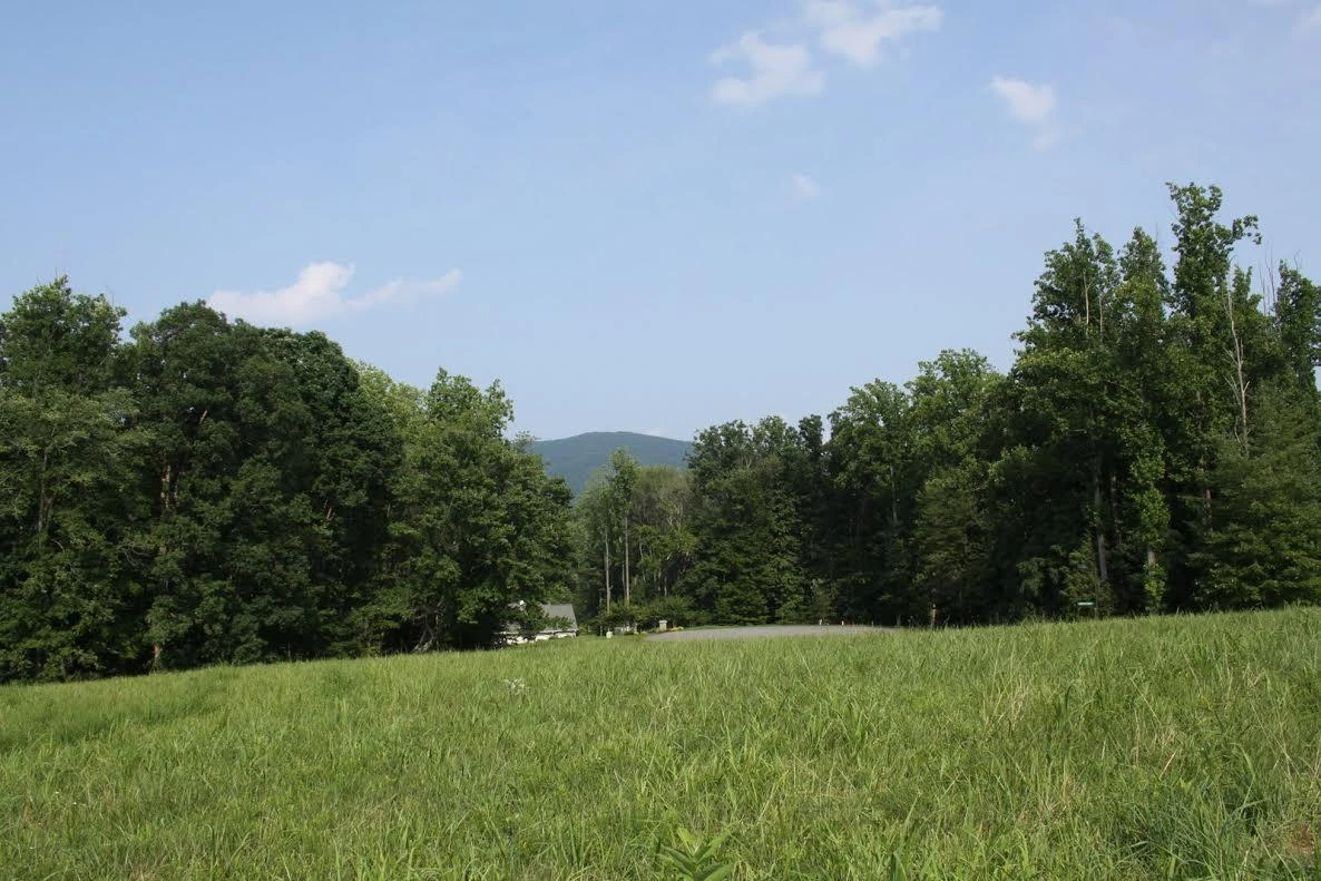 Lot 508 South View CIR - Photo 2